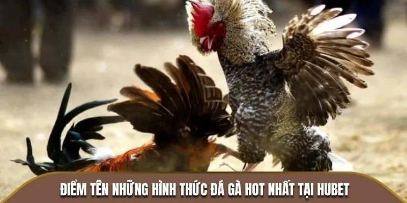 Điểm tên những hình thức đá gà hot nhất tại HUBET